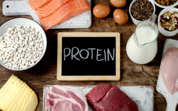 Como a proteína contribui para o nosso organismo